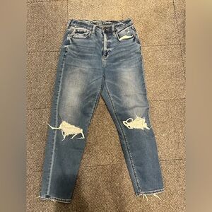 American Eagle Outfitters Blue Distressed  Jeans Size 6